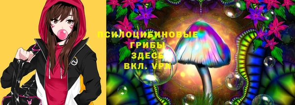 экстази Алексин