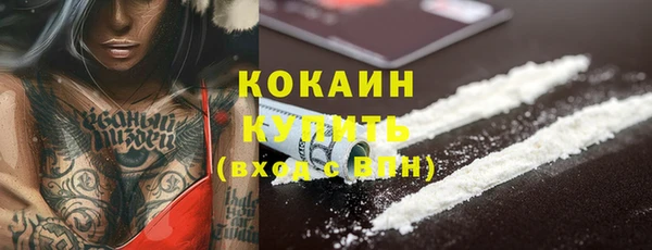твердый Лагань